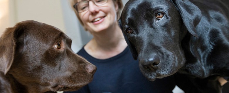 Bild på Eva Ladberg och hennes två labradorer