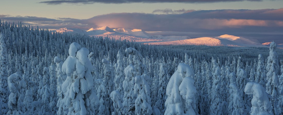 Vintrigt fjällandskap med skymning i bakgrunden.