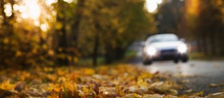 En silverfärgad bil kör på en väg genom en höstig skog.
