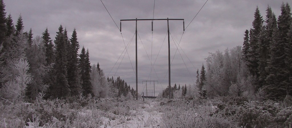 Frostigt skogslandskap med kraftledningar. 