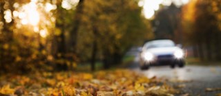 Bil kör på en väg. Träd med höstlöv kantar vägen.